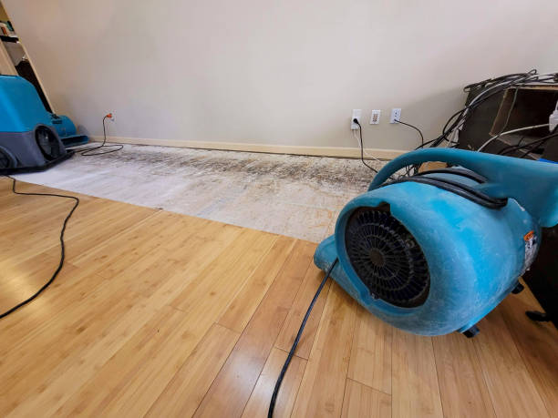 Professional Structural Drying technician working in Cable, OH